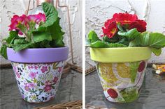 two flower pots with flowers in them sitting on a table next to another potted plant