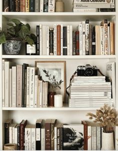 a bookshelf filled with lots of books next to a potted plant on top of a table