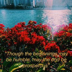 red flowers in the foreground with an inspirational quote about prosperious things on it