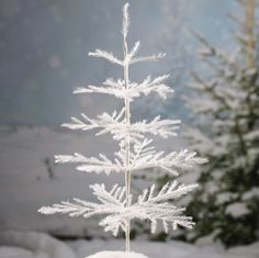 a small white tree sitting on top of snow covered ground