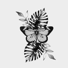 a black and white photo of a butterfly with leaves on it's back side