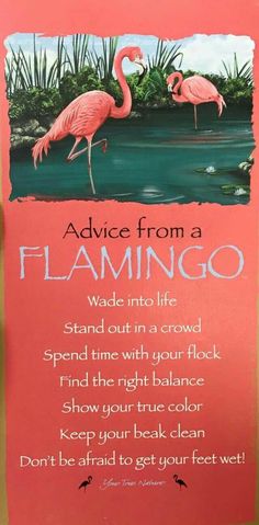 a pink sign that says advice from a flamingo