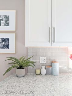 a kitchen counter with two pictures on the wall and a potted plant next to it