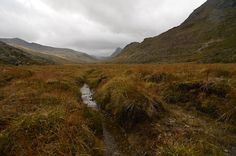 a stream running through a grass covered field next to mountains on a cloudy gray day