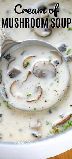 a spoon full of cream of mushroom soup