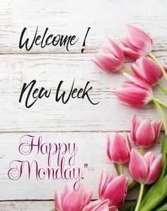 some pink tulips are in front of a white background with the words welcome new week