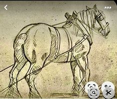 a drawing of a horse is shown on the screen, and it appears to be drawn