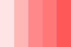 an image of the color red and pink