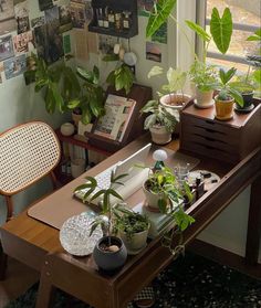 several house plants are sitting on a table in front of a window with an open book