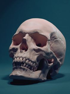 a human skull is shown in the dark