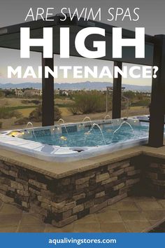 Are Swim Spas High Maintenance? Swim Spa Bar Ideas, Inground Spas Hot Tubs, Hydropool Swim Spa, Salt Water Hot Tub Spas, Master Spa Swim Spa, Swim Spas Inground, Swimspa Landscape Ideas, Spa Pools Backyard