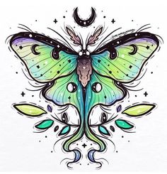 a drawing of a butterfly with stars on it's wings