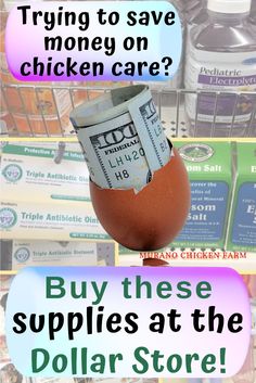 an egg shell with money in it and the words trying to save money on chicken care? buy these supplies at the dollar store