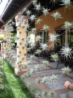 an image of a house with plants in the front yard