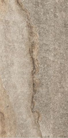 a close up view of a stone surface with cracks in the middle and an animal's foot print on it