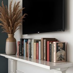 there is a television mounted on the wall above books and a vase with some plants