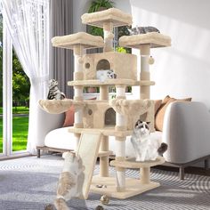 two cats are playing in the cat tree