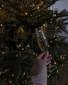 a person holding a wine glass in front of a christmas tree with lights on it