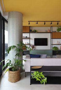 a living room filled with furniture and plants