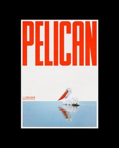 a pelican sitting on top of a body of water with the words pelican above it