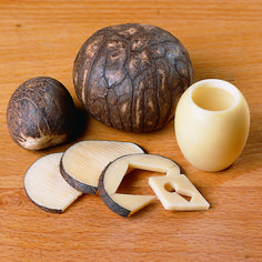 three pieces of wood are shown next to an egg shell