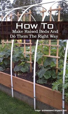 a garden with plants growing in it and the words how to make raised beds and do them the right way