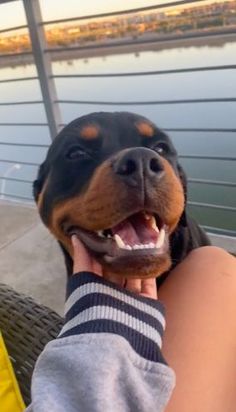 a person holding a dog with its mouth open and it's tongue hanging out