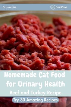 homemade cat food for urinary health beef and turkey recipe try 30 amazing recipes