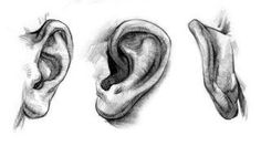 three different views of an ear