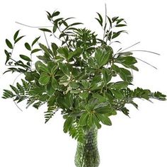 a green vase filled with lots of leaves