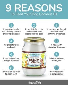 a jar of coconut oil with instructions on how to use it