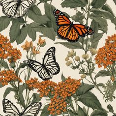 butterflies and orange flowers are featured in this wallpaper design for the home decorating company