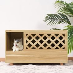 a cat is sitting in a wooden box on the floor next to a potted plant