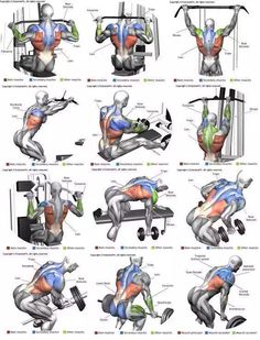 an image of a man doing exercises on the back and shoulder muscles in different positions