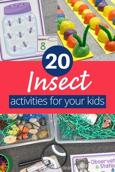 the top 20 insect activities for kids