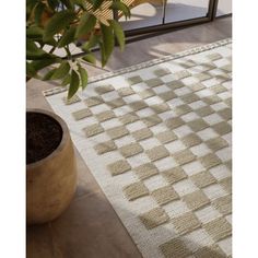 the rug is next to a potted plant in front of a sliding glass door