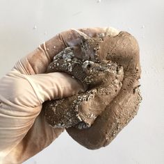 a gloved hand holding some dirt in it's palm