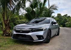 a silver car parked on the side of a road next to palm trees and bushes