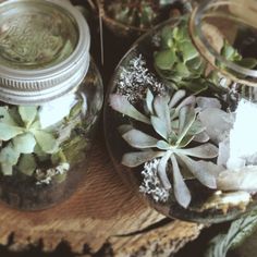 two glass jars filled with plants sitting on top of a wooden table next to each other