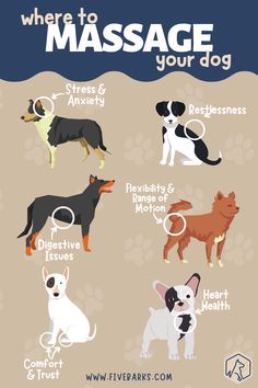 a poster with different types of dogs and their names on the front, side, and back