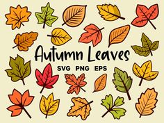 autumn leaves svg clipart set for use in design projects and scrapbooking