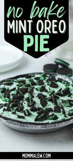 mint oreo pie Oreo Pie Recipe, Mint Desserts, Oreo Filling, Oreo Pie, Green Desserts, Mint Oreo, Easy Pie Recipes, Mint Recipes, Oreo Recipes