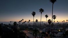 palm trees are silhouetted against the sunset on a street in los angeles, california