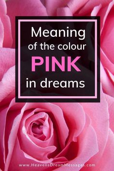 pink roses with the words meaning of the color pink in dreams