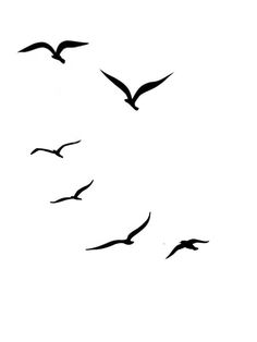 a flock of birds flying across a white sky with one bird in the foreground