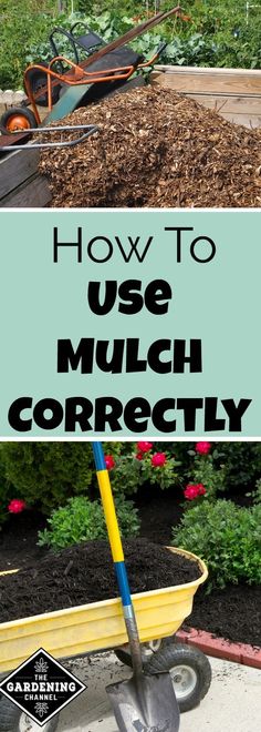 a wheelbarrow full of mulch with the words how to use mulch correctly