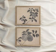 two framed pictures with leaves on them sitting on top of a white bed sheet covered in sheets