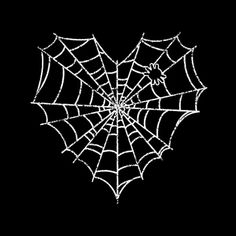 a spider web on a black background