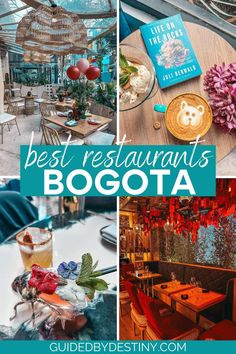 the best restaurants in boga