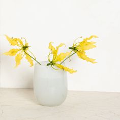 a white vase with yellow flowers in it